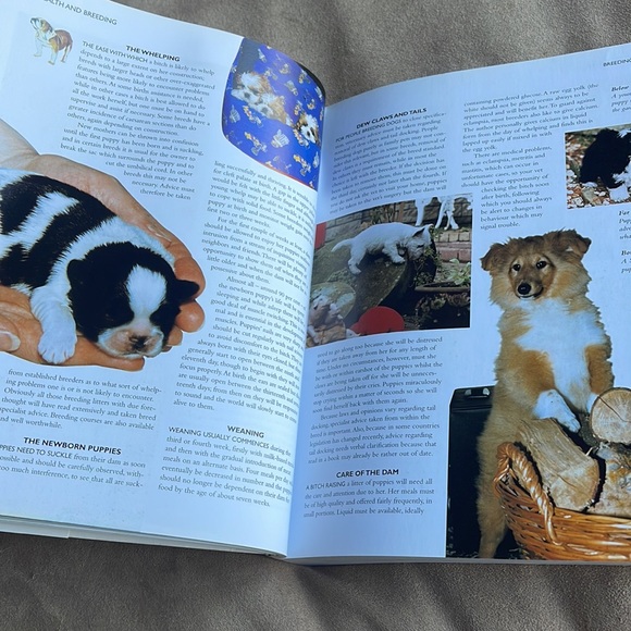 The Encyclopedia of DOG Breeds Book by Juliette Cunliffe championship dog judge - Picture 10 of 16